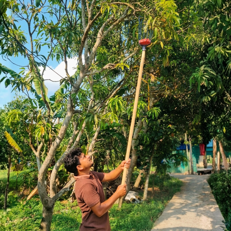 Adjustable Fruit Picker