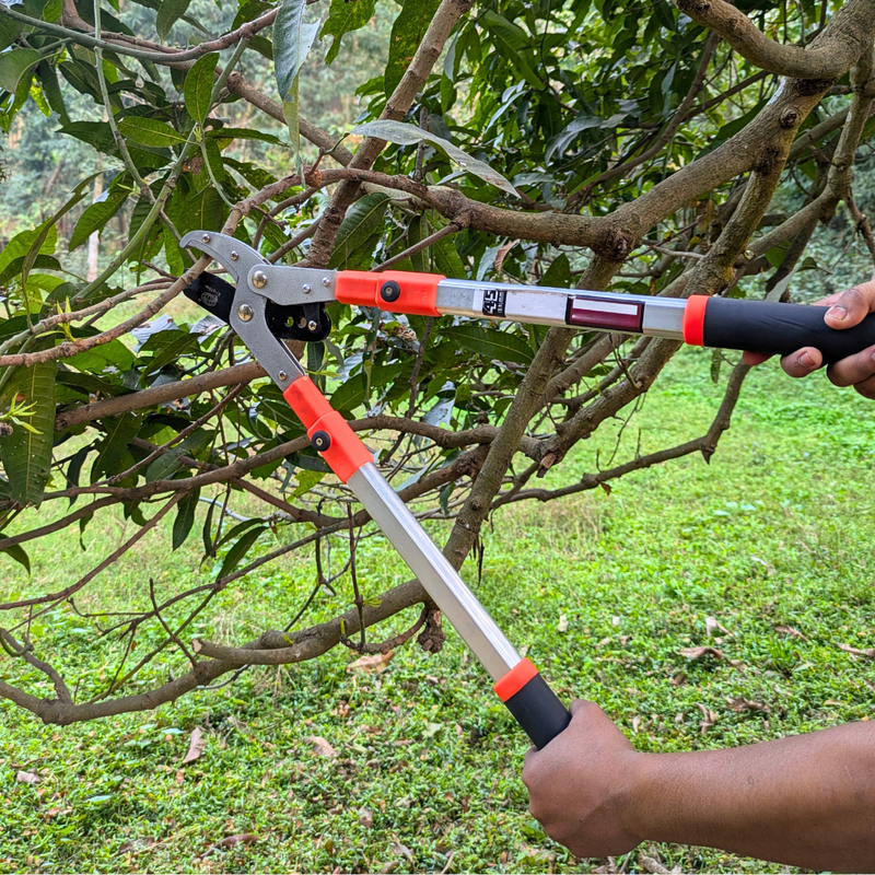 Telescopic Heavy Duty Anvil Lopper