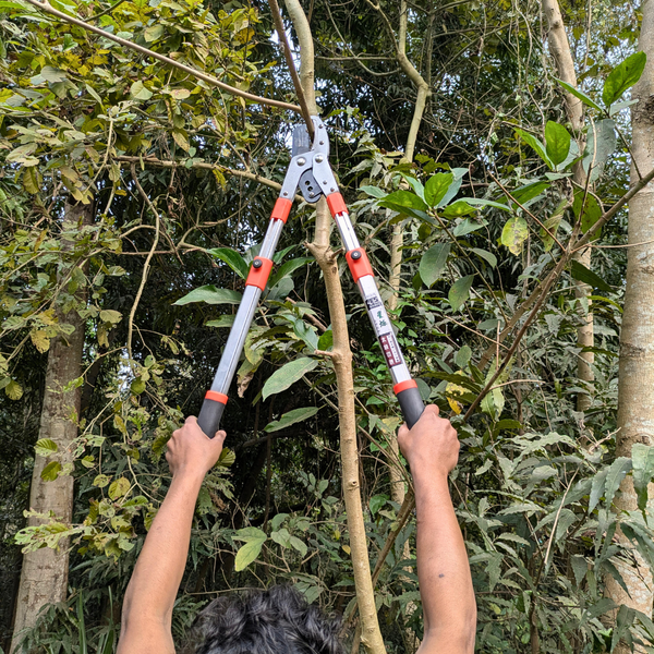 Telescopic Heavy Duty Anvil Lopper