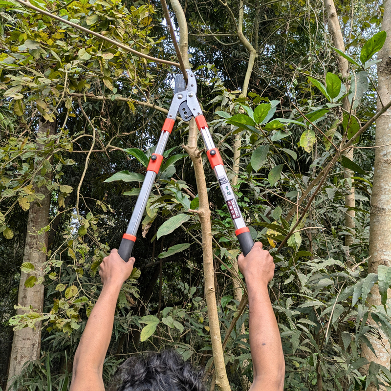 Telescopic Heavy Duty Anvil Lopper