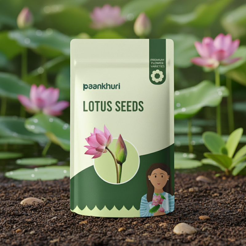 Lotus Seeds (Buy 25 Seeds Get 25 Free)