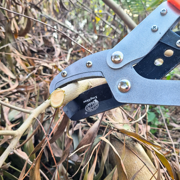 Telescopic Heavy Duty Anvil Lopper