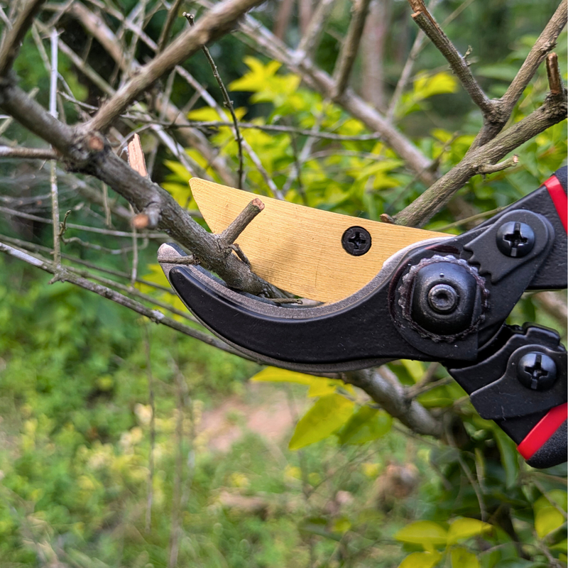 Paankhuri™ PruneMaster