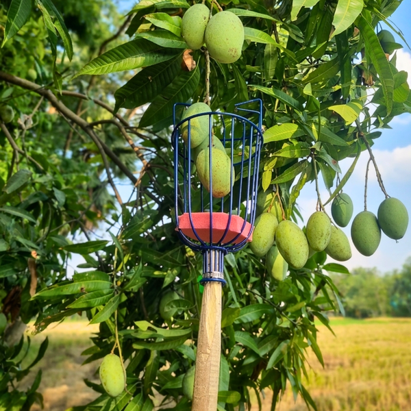 Adjustable Fruit Picker