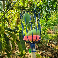 Adjustable Fruit Picker