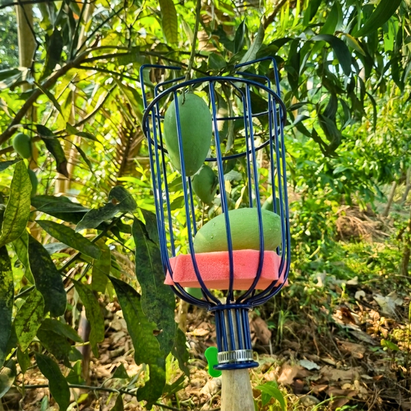 Adjustable Fruit Picker