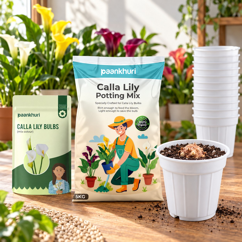 A gardening product display featuring a bag of Paankhuri Calla Lily Potting Mix, a box of Paankhuri Calla Lily Bulbs, a stack of white plastic pots, and a white pot filled with soil on a wooden table with potted plants in the background.