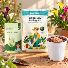 Paankhuri Calla Lily Bulbs 5kg and Calla Lily Potting Mix bags displayed on a wooden table next to a white plastic pot filled with potting soil, with a gardening trowel and potted flowers in the background.