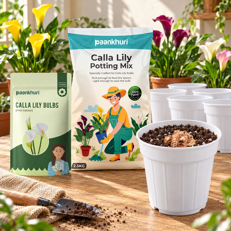A gardening kit setup featuring a 2.5kg bag of Paankhuri Calla Lily Potting Mix and a 2kg bag of Paankhuri Calla Lily Bulbs.