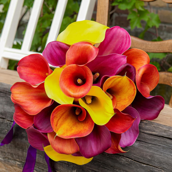 Bouquet of colorful calla lilies on a wooden surface with a blurred natural background